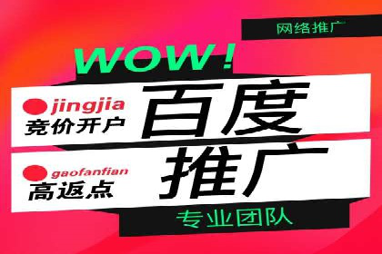 案例分析：打造高效竞价推广策略