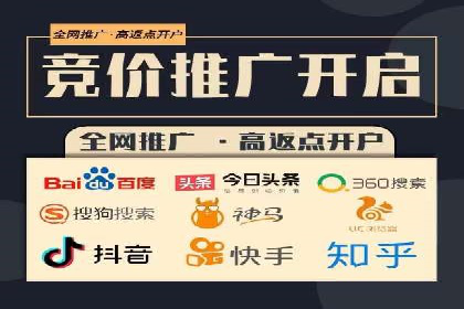 SEM推广代运营案例深度剖析